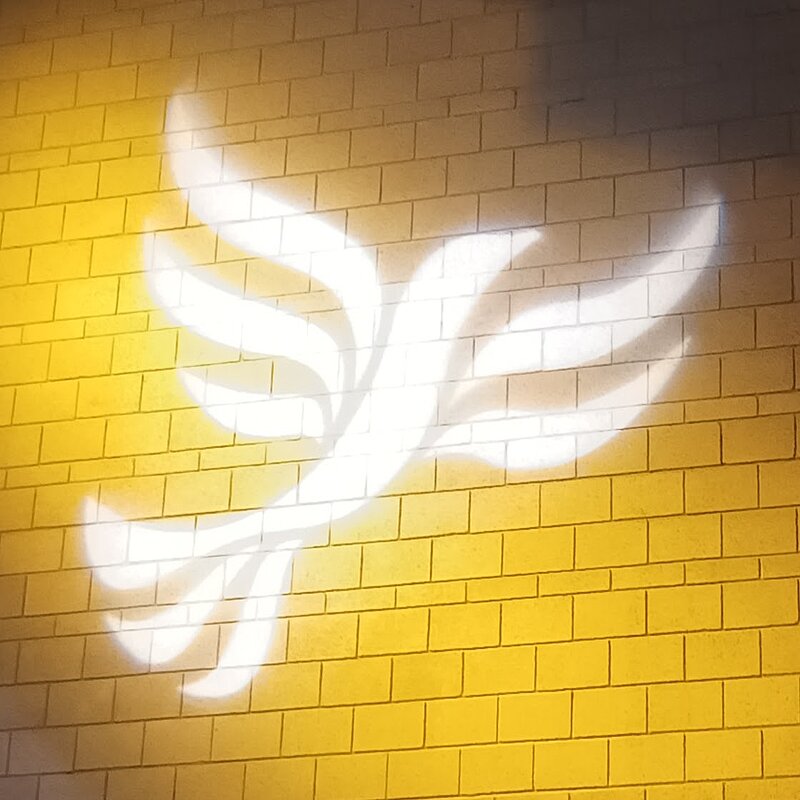 The Liberal Democrats Bird of Liberty logo.